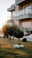 A small tree in front of a house with a balcony photo