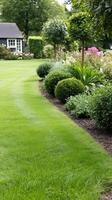A lawn with green grass photo