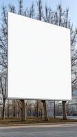 Blank billboard in the park photo