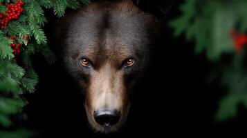 A black bear is peeking out from behind a tree photo