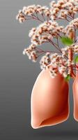 Lungs with flowers and leaves on a gray background photo