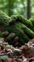 Green handshake concept photo