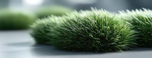 A group of green grass plants on a table photo