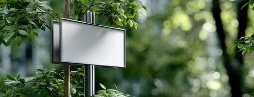 Blank billboard on a tree branch photo