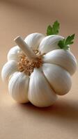 A garlic bulb with leaves on it photo