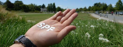 A person's hand holding the word sfp in the grass photo