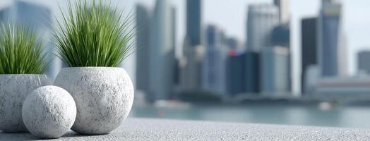 Three white vases with grass in them photo