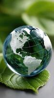 Green leaf and globe on grey background photo