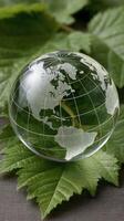 A globe in a glass sphere on top of a leaf photo