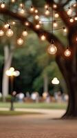 A group of hanging lights in a park photo