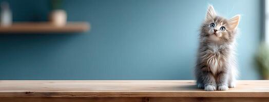 A kitten sitting on a wooden table looking up photo