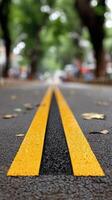 A yellow line on the road with trees in the background photo