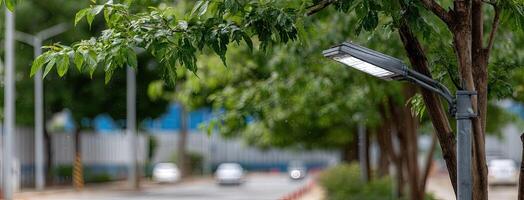 A street light is in front of a tree photo