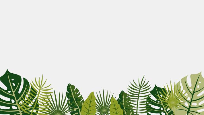 Tropical green jungle leaves border. Exotic summer foliage frame with palm, monstera, and fern leaves. Nature botanical illustration for banners, flyers, cards, invitations.