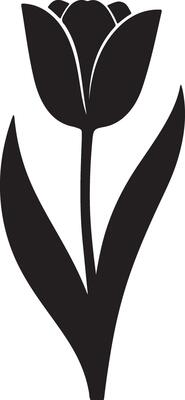Elegant Black Silhouette of a Single Tulip Flower Blooming in Springtime, Evoking a Sense of Serenity and Grace