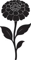 Elegant Black Silhouette of a Zinnia Flower Blooming Gracefully Against a White Background, Evoking a Serene and Peaceful Mood vector