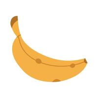 Banana. Fruit. Proper nutrition. The flat color illustration is suitable for applications, posters about health, fitness, exercise, disease prevention and cardiac activity vector