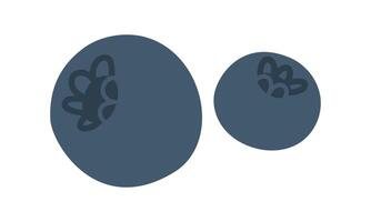 Blueberries and blueberries. Proper nutrition. The flat color illustration is suitable for applications, posters about health, fitness, exercise, disease prevention and cardiac activity. vector