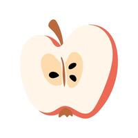 Half an apple. The fruit is a slice. Proper nutrition. The flat color illustration is suitable for applications, posters about health, fitness, exercise, disease prevention and cardiac activity. vector