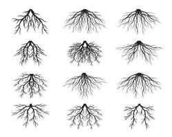 Set Black Tree Roots. Outline Illustration and nature. vector