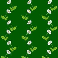 Chamomile Seamless Pattern on Deep Green Background vector