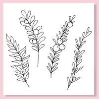 Hand-drawn botanical illustration of a branch with berries, perfect for seasonal and nature-themed projects. vector