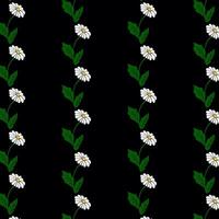 Seamless pattern with chamomile flowers and greenery on black background stylish and bold botanical design. vector