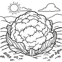 Wonderful Cauliflower Coloring Page For Children That Is Free To Download Now vector