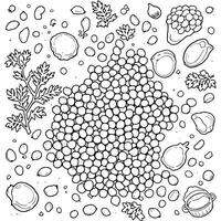 Delightful Lentils Coloring Page A Nutritious and Educational Art Project vector