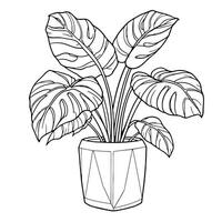 Tropical Plant Coloring Page Botanical Illustration for Relaxation And Artistic Expression vector