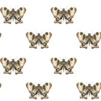 Moth night butterfly watercolor seamless, pattern. Hand drawn flying insect background in beige and brown colors, neutral mystic pattern for textile, fabric design png