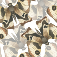 Night moth watercolor seamless pattern.Hand drawn butterflies background, moth with beige and brown wings repeated clipart for wrapping, textile, wallpaper design. Esoteric and witchy decor png