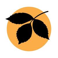 A simple black silhouette of a leaf against a bright orange circular background. The design is minimalistic and modern, suitable for various applications. vector