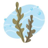 Illustration of seaweed with a light blue background and bubbles. The seaweed has a brownish-green color and features elongated leaves. vector