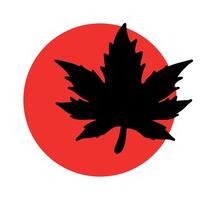 A black maple leaf silhouette against a red circle background. The design symbolizes nature and Canada, representing autumn and cultural identity. vector