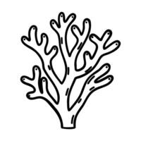 Black and white line drawing of coral with branching structure and rounded tips, isolated on white background. vector
