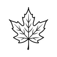 Black Outline Maple Leaf Simple Line Drawing Illustration vector