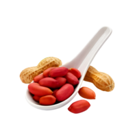 White ceramic spoon of peeled peanut on transparent background png