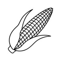Black and white line drawing of an ear of corn with husk, botanical illustration style, detailed ink lines, vintage engraving look, isolated on white background vector