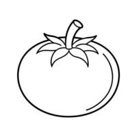 Simple Line Drawing of a Red Tomato line art illustration vector
