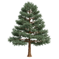 A single isolated tree with green leaves and brown trunk on transparent background png