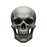 A detailed rendering of a human skull with a smooth texture on transparent background png