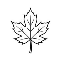 Black Outline Simple Maple Leaf Illustration autumn vector