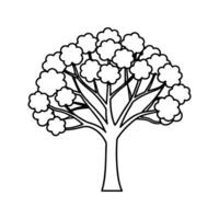 Black and White Outline Drawing of a Tree with Round Leaves vector