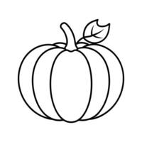 Simple Line Drawing of a Pumpkin with Leaf gourd squash vector