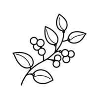Black Line Art Branch with Berries and Leaves Simple Botanical Illustration vector