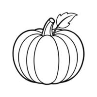 Line Drawing Single Pumpkin with Leaf Stem gourd squash vector