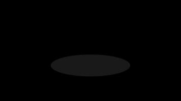 Rabbit Pop Up On Hole. 4k Animation With Alpha channel video