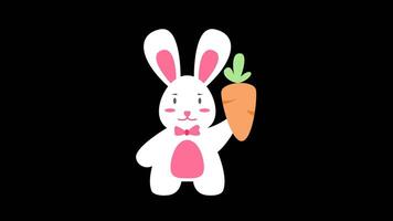Rabbit With Carrot. 4k Animation With Alpha channel video