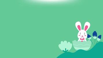Easter Day Background With Bunny Pop Up On Egg. 4k Animation With Alpha channel video